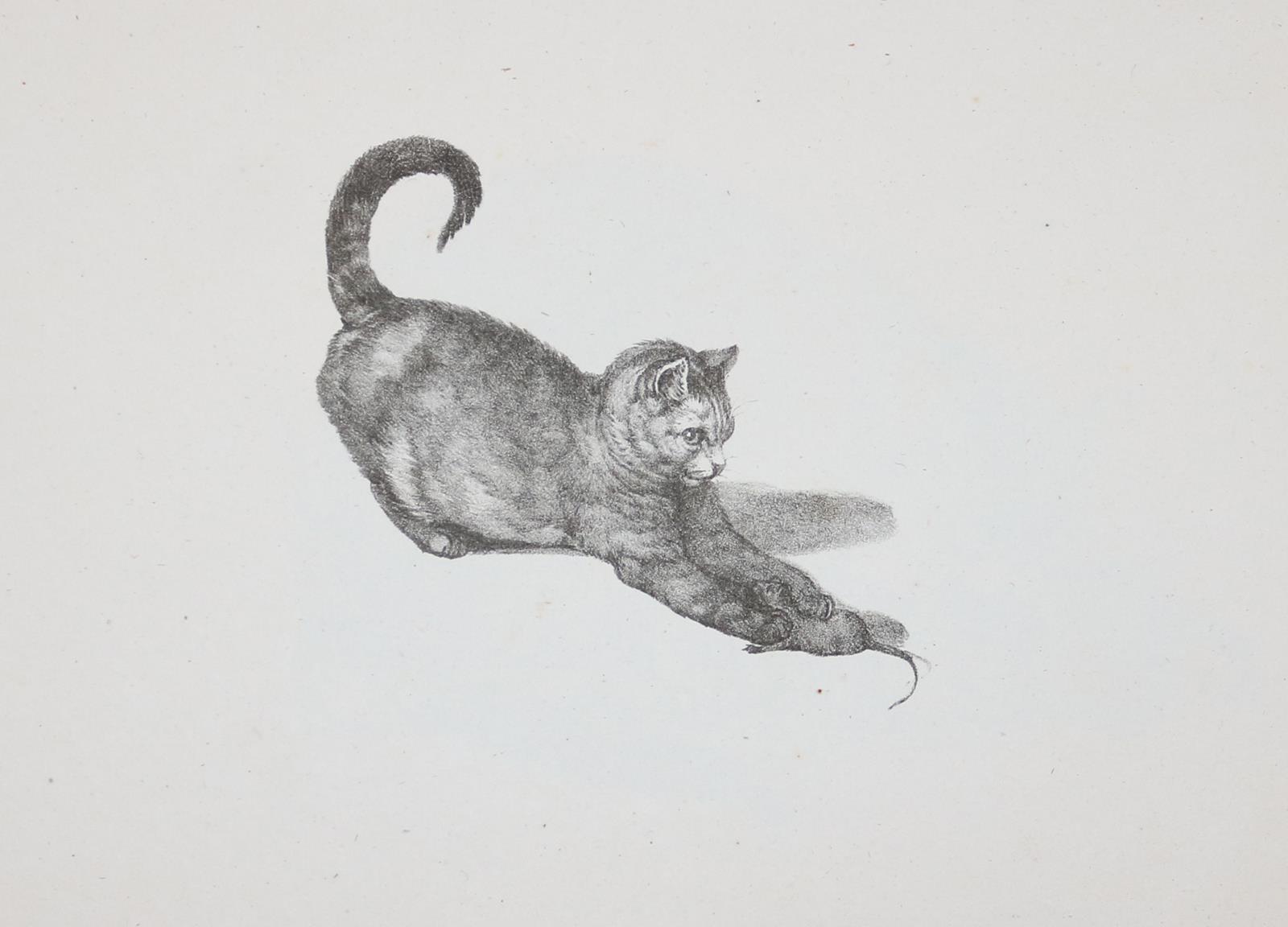 Mind, Gottfried | Bild Nr.5